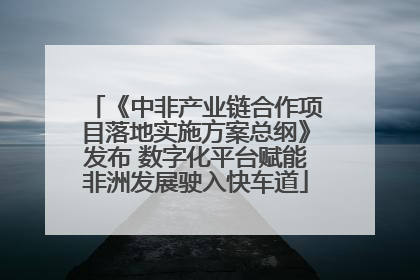 《中非产业链合作项目落地实施方案总纲》发布 数字化平台赋能非洲发展驶入快车道