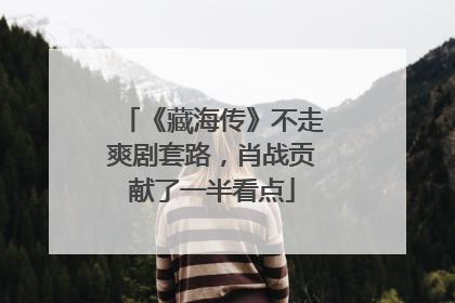 《藏海传》不走爽剧套路，肖战贡献了一半看点