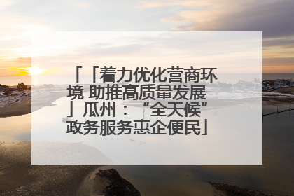 「着力优化营商环境 助推高质量发展」瓜州：“全天候”政务服务惠企便民