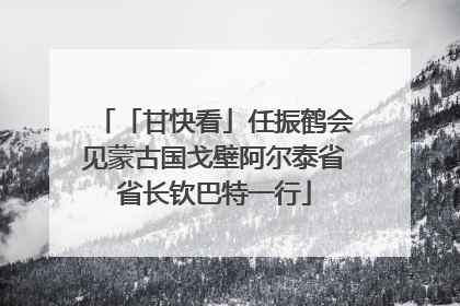 「甘快看」任振鹤会见蒙古国戈壁阿尔泰省省长钦巴特一行