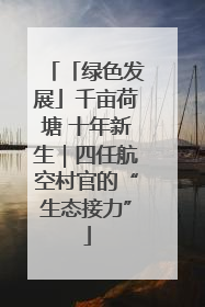 「绿色发展」千亩荷塘 十年新生｜四任航空村官的“生态接力”