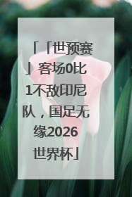 「世预赛」客场0比1不敌印尼队，国足无缘2026世界杯