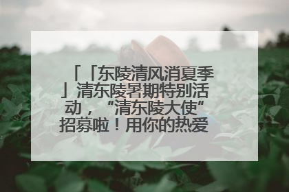 「东陵清风消夏季」清东陵暑期特别活动，“清东陵大使”招募啦！用你的热爱守护世界遗产！