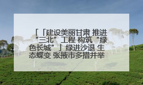 「建设美丽甘肃 推进“三北”工程 构筑“绿色长城”」绿进沙退 生态蝶变 张掖市多措并举加大防沙治沙力度