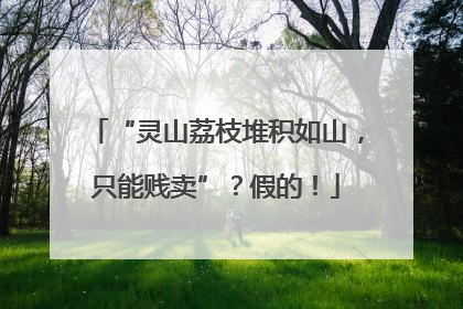 “灵山荔枝堆积如山，只能贱卖”？假的！
