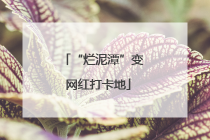 “烂泥潭”变网红打卡地