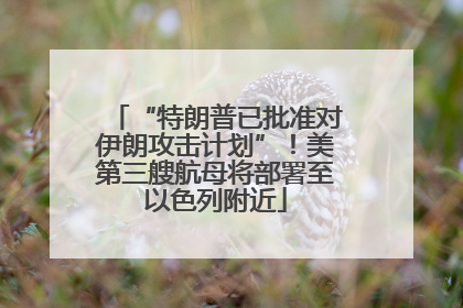 “特朗普已批准对伊朗攻击计划”！美第三艘航母将部署至以色列附近