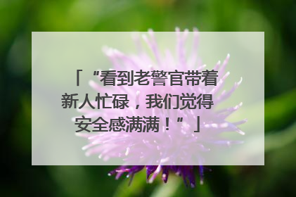 “看到老警官带着新人忙碌，我们觉得安全感满满！”