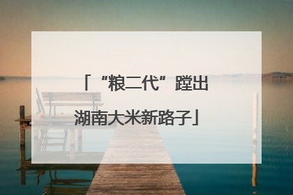 “粮二代”蹚出湖南大米新路子
