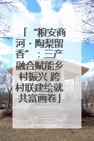 “粮安商河・陶梨留香”：三产融合赋能乡村振兴 跨村联建绘就共富画卷