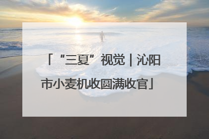 “三夏”视觉｜沁阳市小麦机收圆满收官