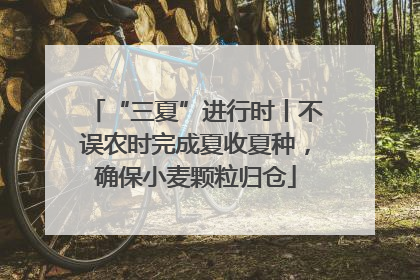 “三夏”进行时丨不误农时完成夏收夏种，确保小麦颗粒归仓