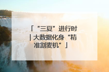 “三夏”进行时｜大数据化身“精准割麦机”