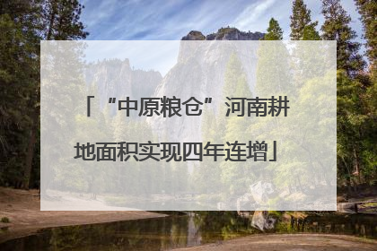 “中原粮仓”河南耕地面积实现四年连增
