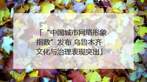 “中国城市网络形象指数”发布 乌鲁木齐文化与治理表现突出