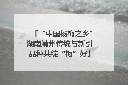 “中国杨梅之乡”湖南靖州传统与新引品种共绽“梅”好