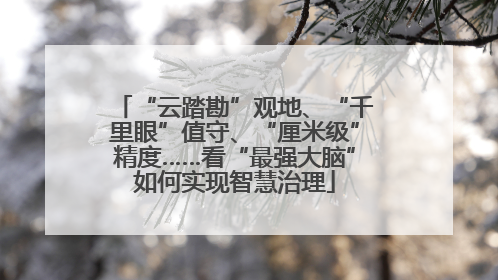 “云踏勘”观地、“千里眼”值守、“厘米级”精度……看“最强大脑”如何实现智慧治理