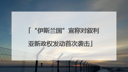 “伊斯兰国”宣称对叙利亚新政权发动首次袭击