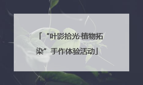 “叶影拾光·植物拓染”手作体验活动