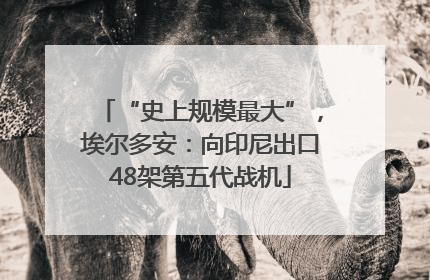 “史上规模最大”，埃尔多安：向印尼出口48架第五代战机