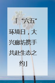“六五”环境日，大兴廊坊携手共赴生态之约