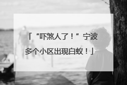 “吓煞人了！”宁波多个小区出现白蚁！