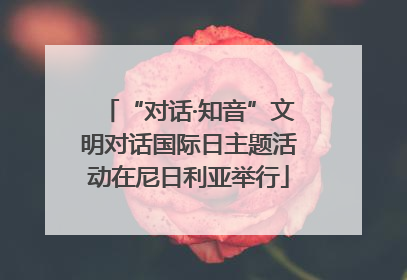 “对话·知音”文明对话国际日主题活动在尼日利亚举行