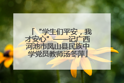 “学生们平安，我才安心”——记广西河池市凤山县民族中学党员教师汤冬萍
