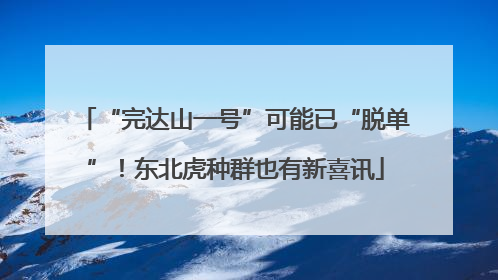 “完达山一号”可能已“脱单”！东北虎种群也有新喜讯