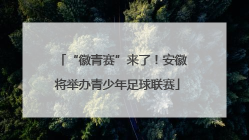 “徽青赛”来了！安徽将举办青少年足球联赛