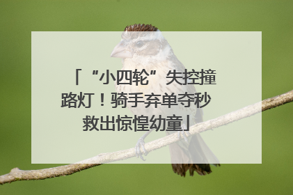 “小四轮”失控撞路灯！骑手弃单夺秒救出惊惶幼童