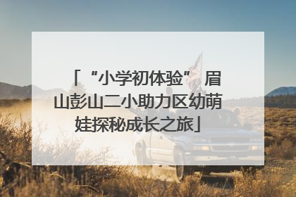 “小学初体验” 眉山彭山二小助力区幼萌娃探秘成长之旅