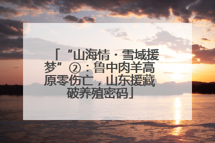 “山海情・雪域援梦”②：鲁中肉羊高原零伤亡，山东援藏破养殖密码