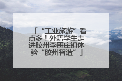 “工业旅游”看点多！外籍学生走进胶州李哥庄镇体验“胶州智造”