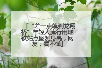 “差一点就到龙翔桥”年轻人流行用地铁站点图测身高，网友：看不懂