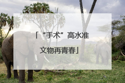 “手术”高水准 文物再青春