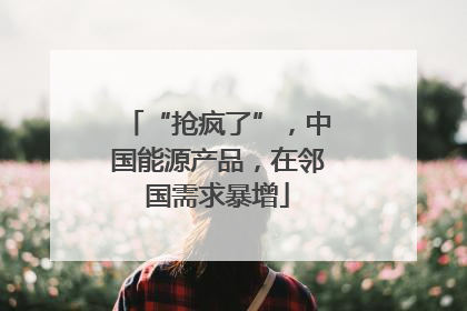 “抢疯了”，中国能源产品，在邻国需求暴增
