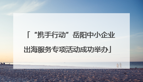 “携手行动”岳阳中小企业出海服务专项活动成功举办