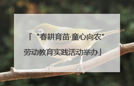 “春耕育苗·童心向农”劳动教育实践活动举办