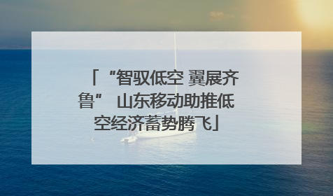 “智驭低空 翼展齐鲁” 山东移动助推低空经济蓄势腾飞