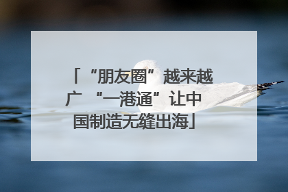 “朋友圈”越来越广 “一港通”让中国制造无缝出海