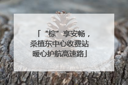 “棕”享安畅，桑植东中心收费站暖心护航高速路