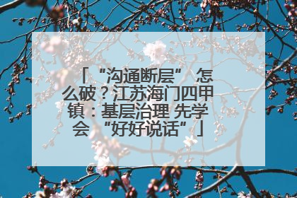 “沟通断层” 怎么破？江苏海门四甲镇：基层治理 先学会 “好好说话”