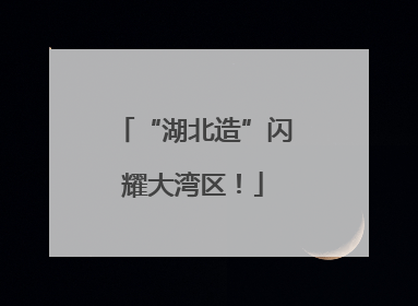 “湖北造”闪耀大湾区！