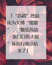 “苏超”热浪化为文博“留量”，“数见苏韵・家门口看大展”环省行南京站来了