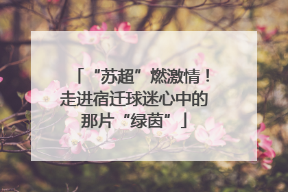 “苏超”燃激情！走进宿迁球迷心中的那片“绿茵”