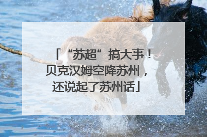 “苏超”搞大事！贝克汉姆空降苏州，还说起了苏州话