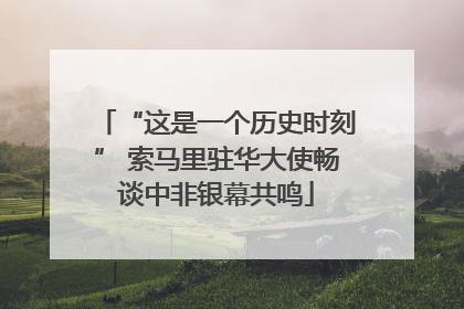 “这是一个历史时刻” 索马里驻华大使畅谈中非银幕共鸣