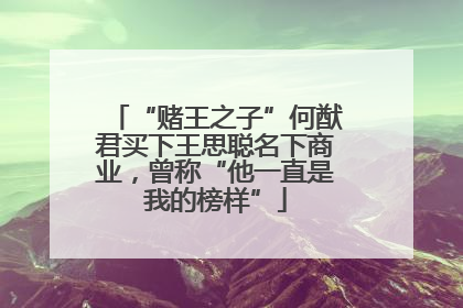 “赌王之子”何猷君买下王思聪名下商业，曾称“他一直是我的榜样”