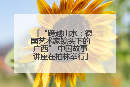 “跨越山水：德国艺术家镜头下的广西” 中国故事讲座在柏林举行